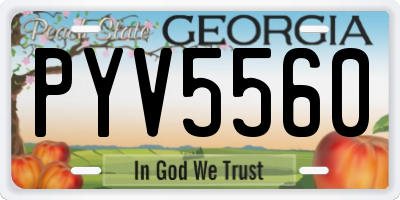GA license plate PYV5560