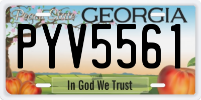 GA license plate PYV5561