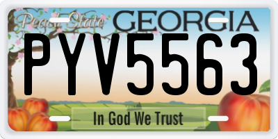 GA license plate PYV5563