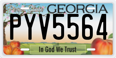 GA license plate PYV5564