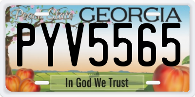 GA license plate PYV5565
