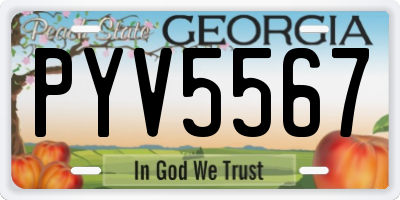 GA license plate PYV5567
