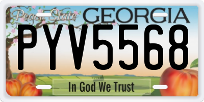 GA license plate PYV5568