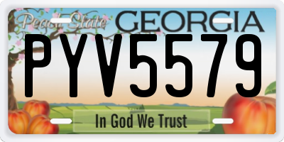 GA license plate PYV5579