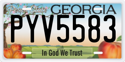 GA license plate PYV5583