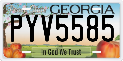 GA license plate PYV5585