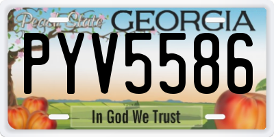 GA license plate PYV5586