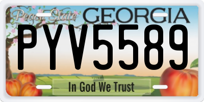 GA license plate PYV5589