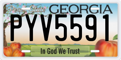 GA license plate PYV5591