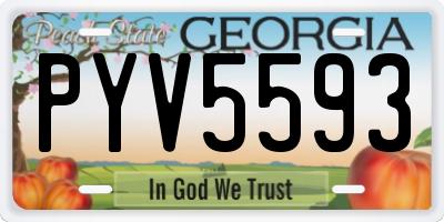 GA license plate PYV5593
