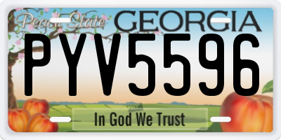 GA license plate PYV5596