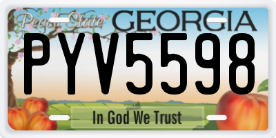 GA license plate PYV5598