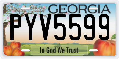 GA license plate PYV5599
