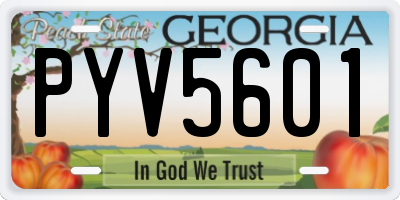 GA license plate PYV5601