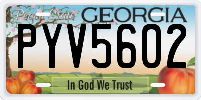 GA license plate PYV5602
