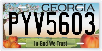 GA license plate PYV5603