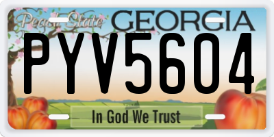 GA license plate PYV5604