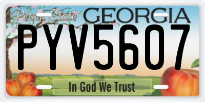 GA license plate PYV5607