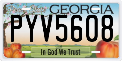 GA license plate PYV5608