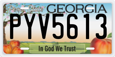 GA license plate PYV5613
