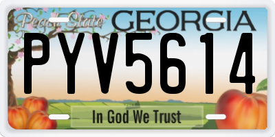 GA license plate PYV5614