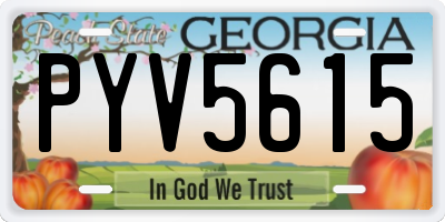 GA license plate PYV5615