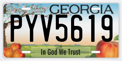 GA license plate PYV5619