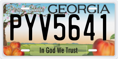 GA license plate PYV5641