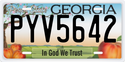 GA license plate PYV5642