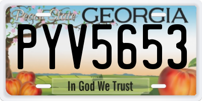 GA license plate PYV5653