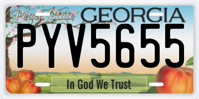 GA license plate PYV5655