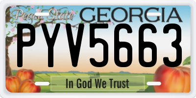 GA license plate PYV5663
