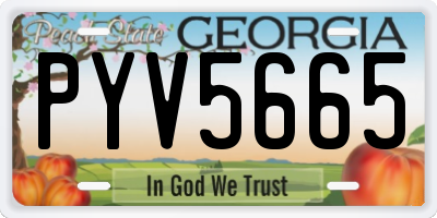 GA license plate PYV5665