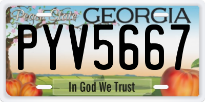 GA license plate PYV5667