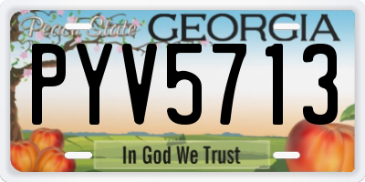 GA license plate PYV5713