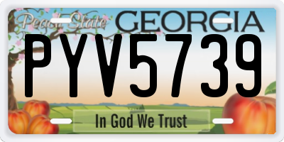 GA license plate PYV5739