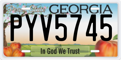 GA license plate PYV5745
