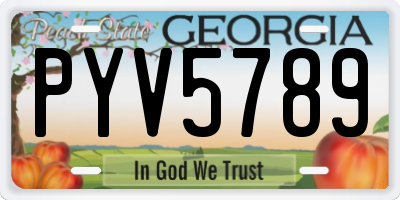 GA license plate PYV5789