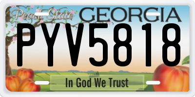 GA license plate PYV5818