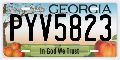 GA license plate PYV5823