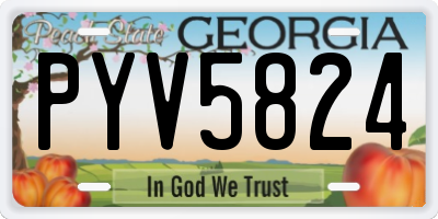 GA license plate PYV5824