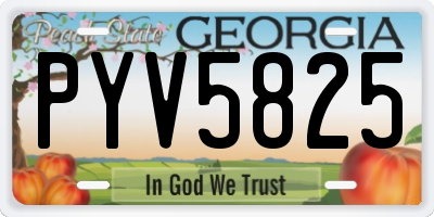 GA license plate PYV5825