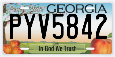 GA license plate PYV5842