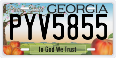 GA license plate PYV5855