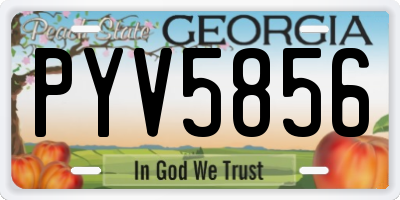 GA license plate PYV5856