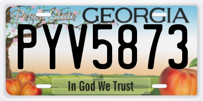 GA license plate PYV5873