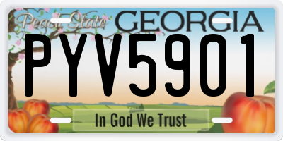 GA license plate PYV5901