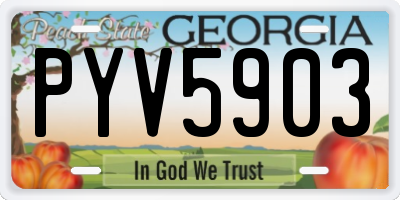 GA license plate PYV5903