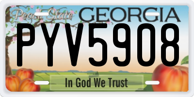 GA license plate PYV5908