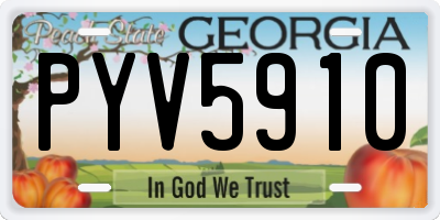 GA license plate PYV5910